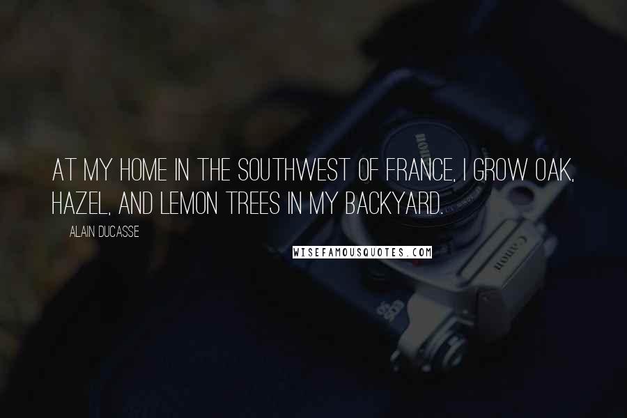 Alain Ducasse Quotes: At my home in the southwest of France, I grow oak, hazel, and lemon trees in my backyard.