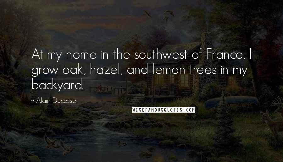 Alain Ducasse Quotes: At my home in the southwest of France, I grow oak, hazel, and lemon trees in my backyard.