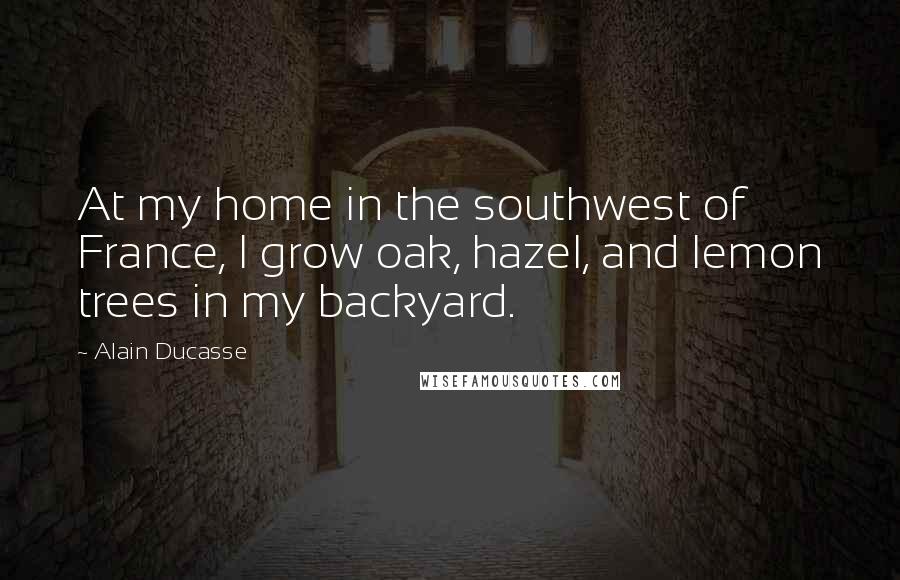 Alain Ducasse Quotes: At my home in the southwest of France, I grow oak, hazel, and lemon trees in my backyard.