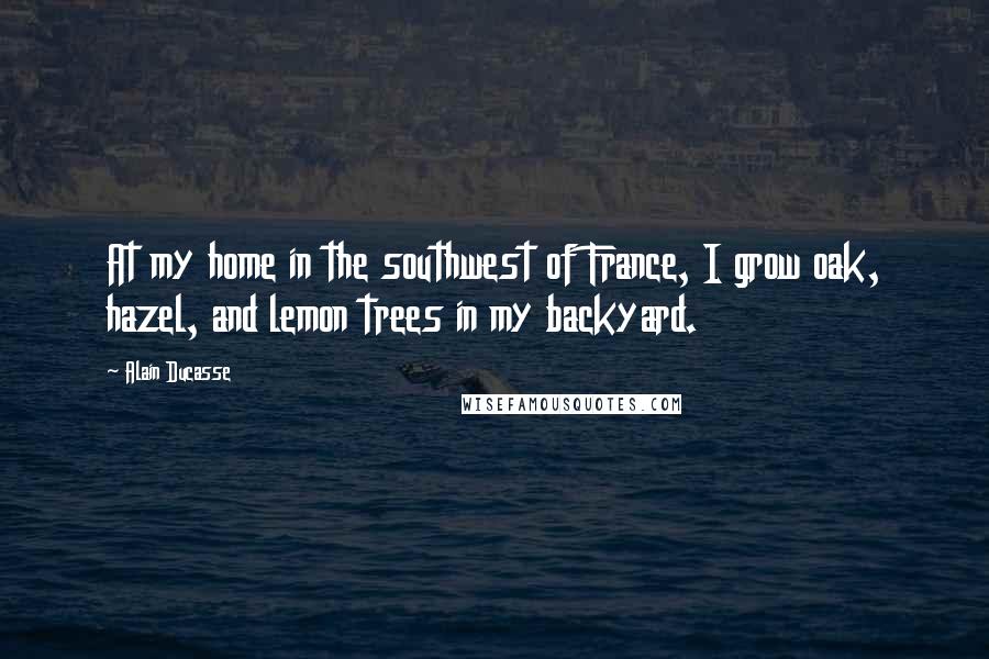 Alain Ducasse Quotes: At my home in the southwest of France, I grow oak, hazel, and lemon trees in my backyard.