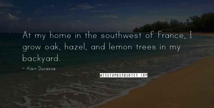 Alain Ducasse Quotes: At my home in the southwest of France, I grow oak, hazel, and lemon trees in my backyard.