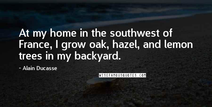 Alain Ducasse Quotes: At my home in the southwest of France, I grow oak, hazel, and lemon trees in my backyard.