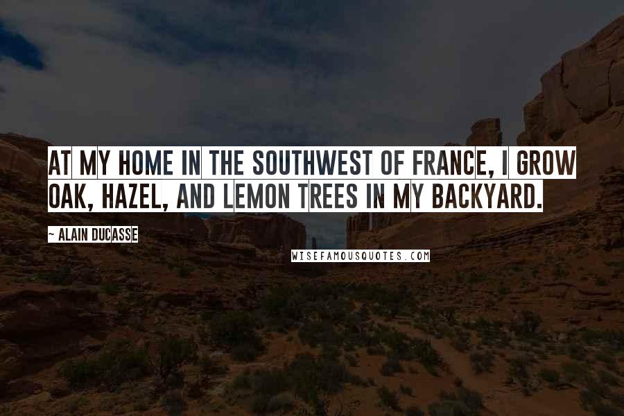 Alain Ducasse Quotes: At my home in the southwest of France, I grow oak, hazel, and lemon trees in my backyard.