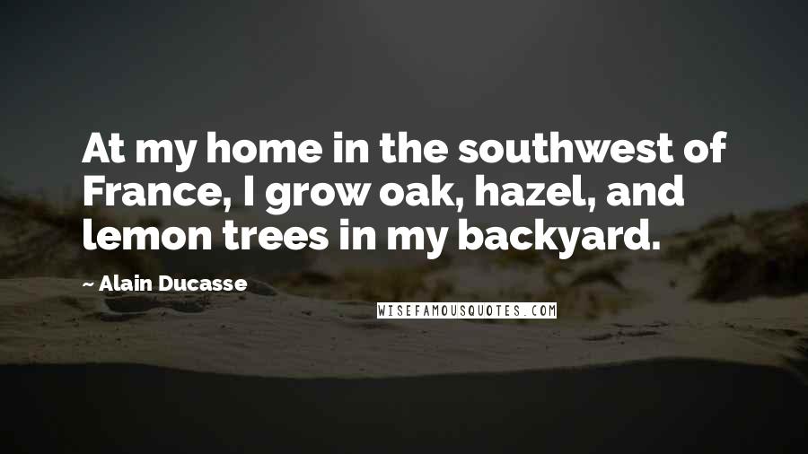 Alain Ducasse Quotes: At my home in the southwest of France, I grow oak, hazel, and lemon trees in my backyard.