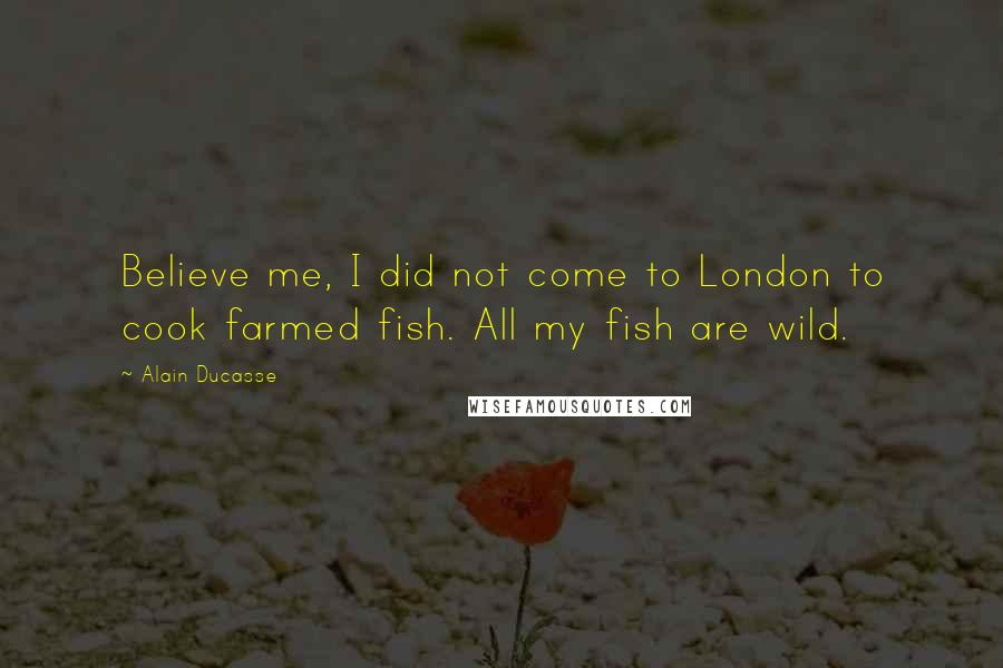 Alain Ducasse Quotes: Believe me, I did not come to London to cook farmed fish. All my fish are wild.