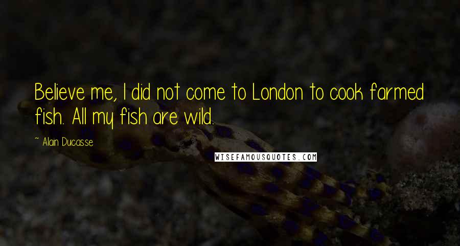 Alain Ducasse Quotes: Believe me, I did not come to London to cook farmed fish. All my fish are wild.