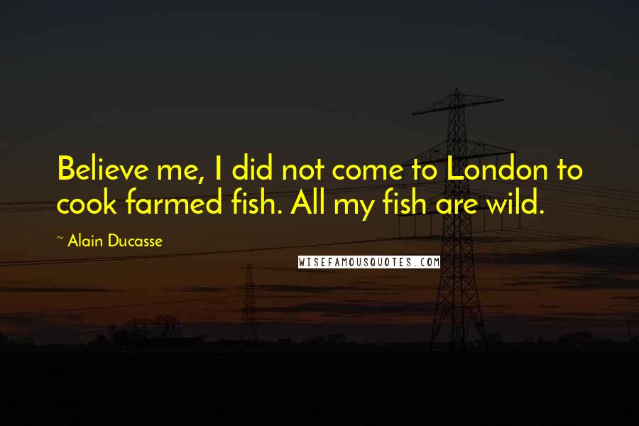 Alain Ducasse Quotes: Believe me, I did not come to London to cook farmed fish. All my fish are wild.