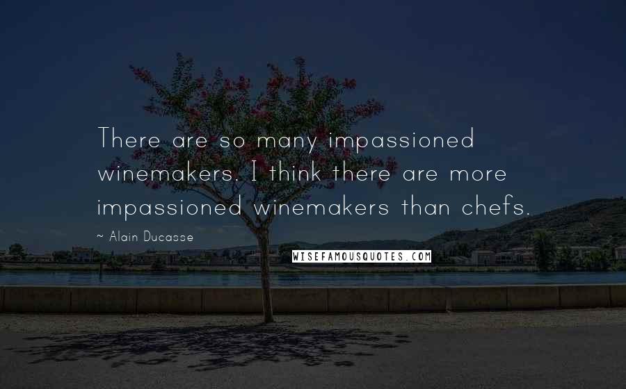 Alain Ducasse Quotes: There are so many impassioned winemakers. I think there are more impassioned winemakers than chefs.