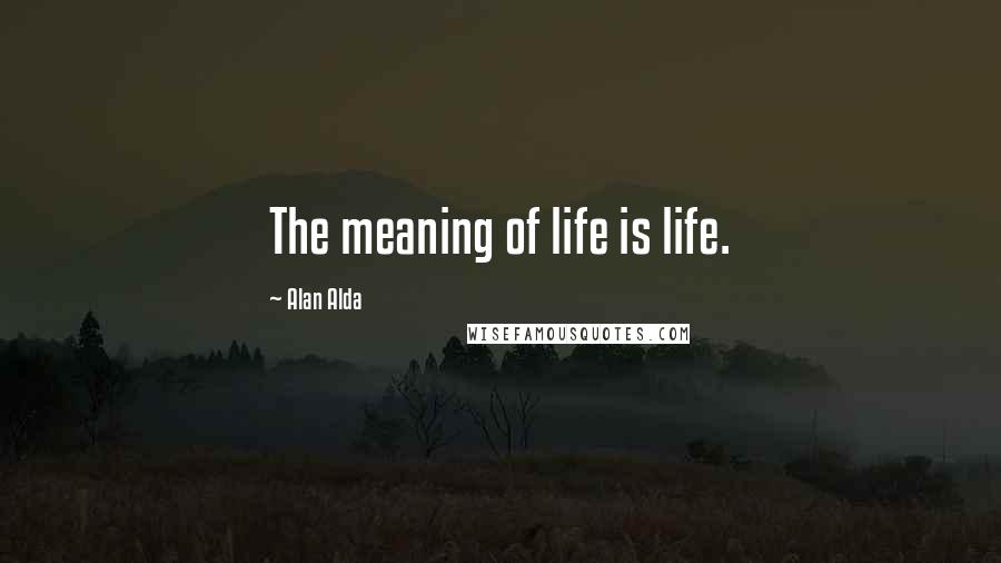 Alan Alda Quotes: The meaning of life is life.