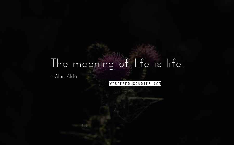 Alan Alda Quotes: The meaning of life is life.