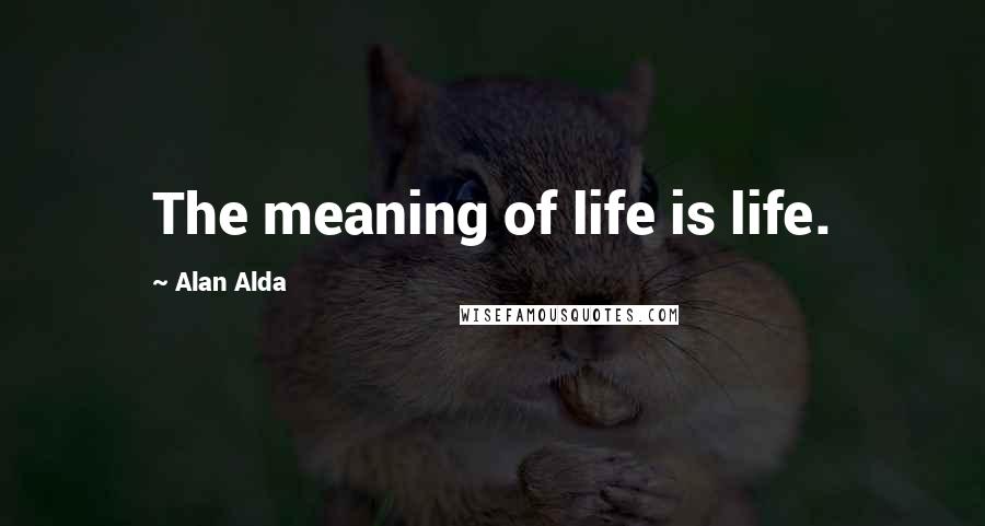 Alan Alda Quotes: The meaning of life is life.