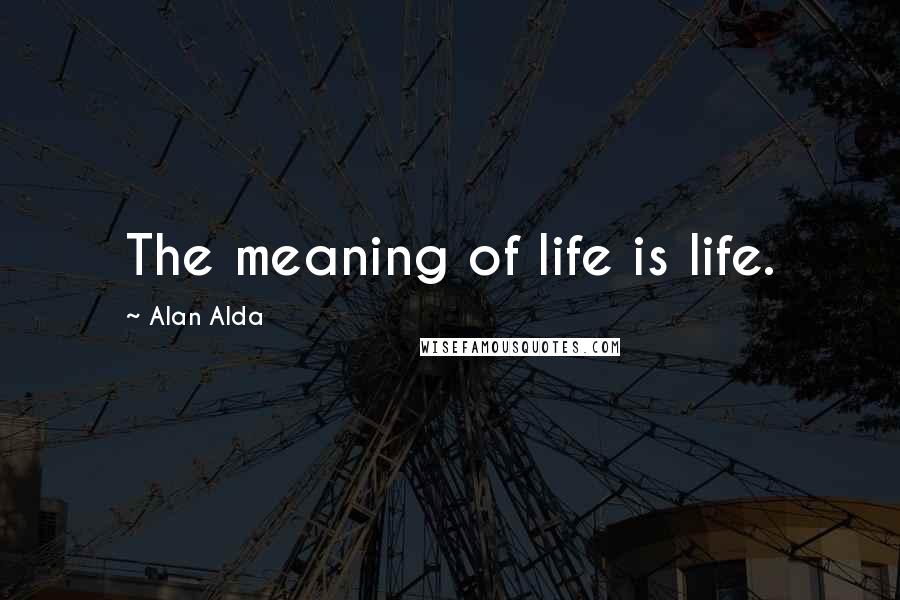 Alan Alda Quotes: The meaning of life is life.