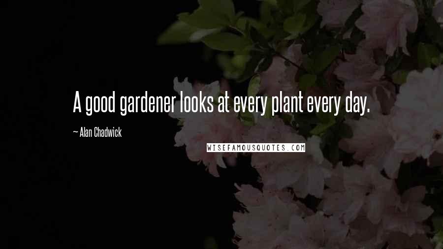 Alan Chadwick Quotes: A good gardener looks at every plant every day.