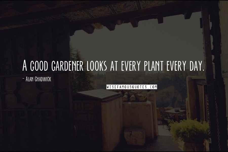 Alan Chadwick Quotes: A good gardener looks at every plant every day.