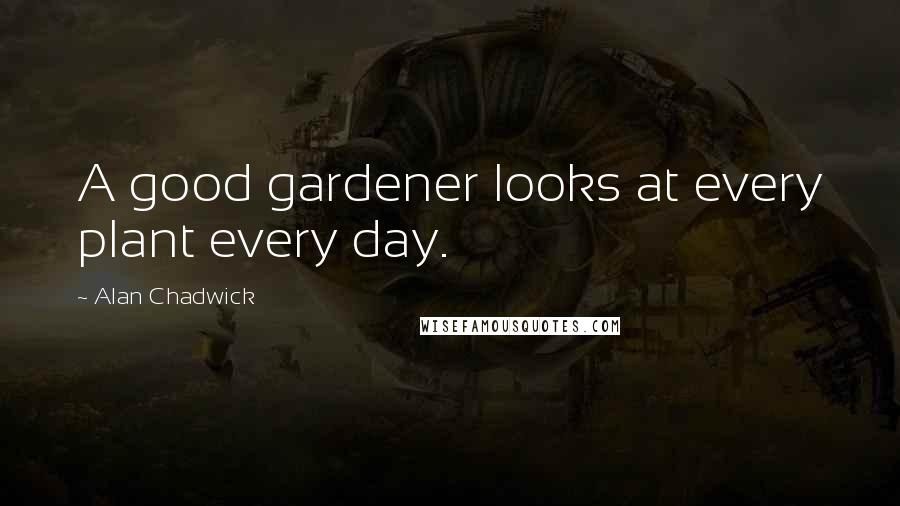 Alan Chadwick Quotes: A good gardener looks at every plant every day.