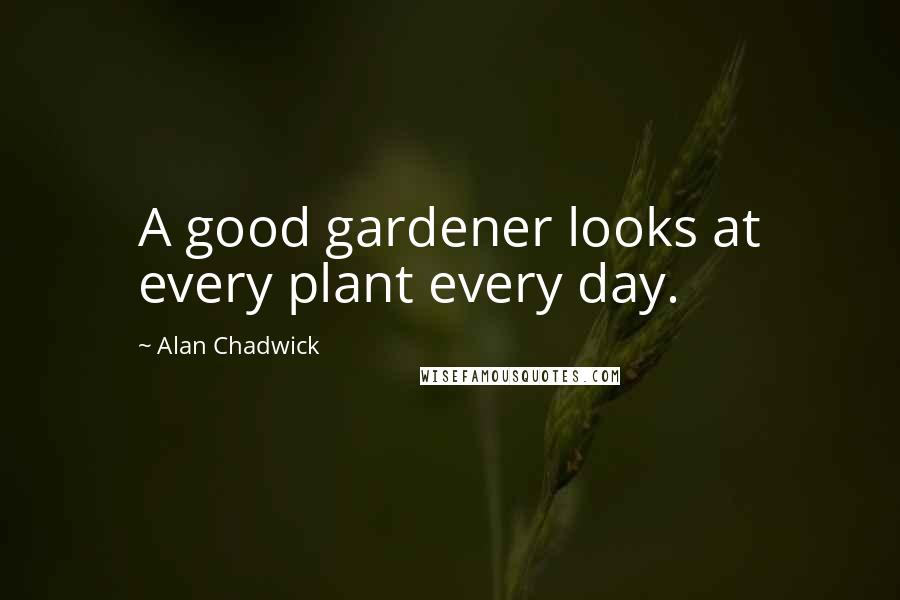 Alan Chadwick Quotes: A good gardener looks at every plant every day.