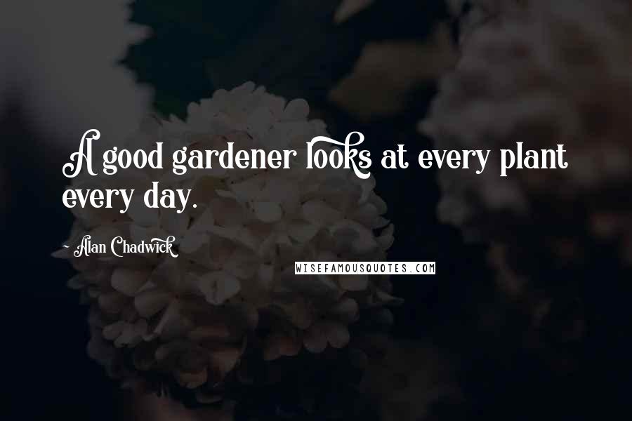 Alan Chadwick Quotes: A good gardener looks at every plant every day.