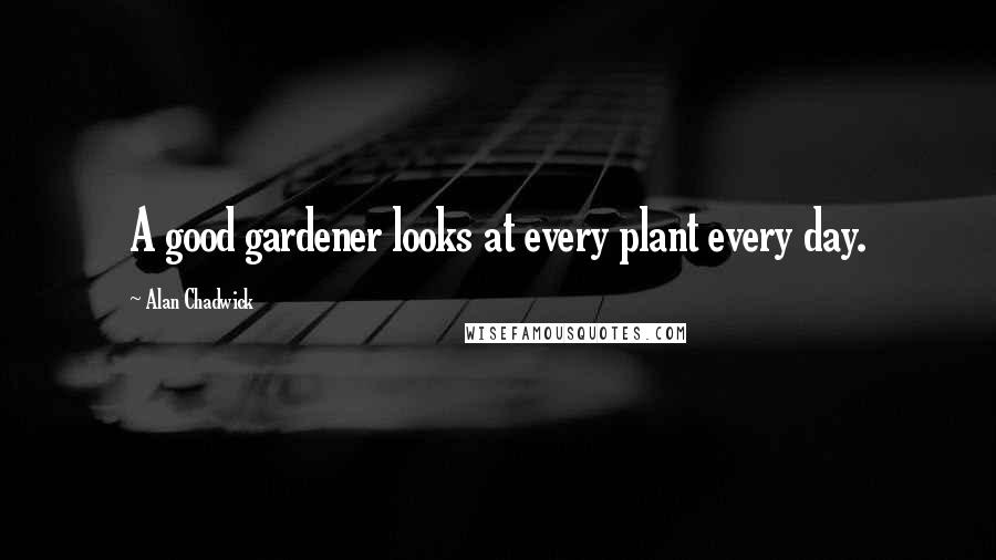 Alan Chadwick Quotes: A good gardener looks at every plant every day.