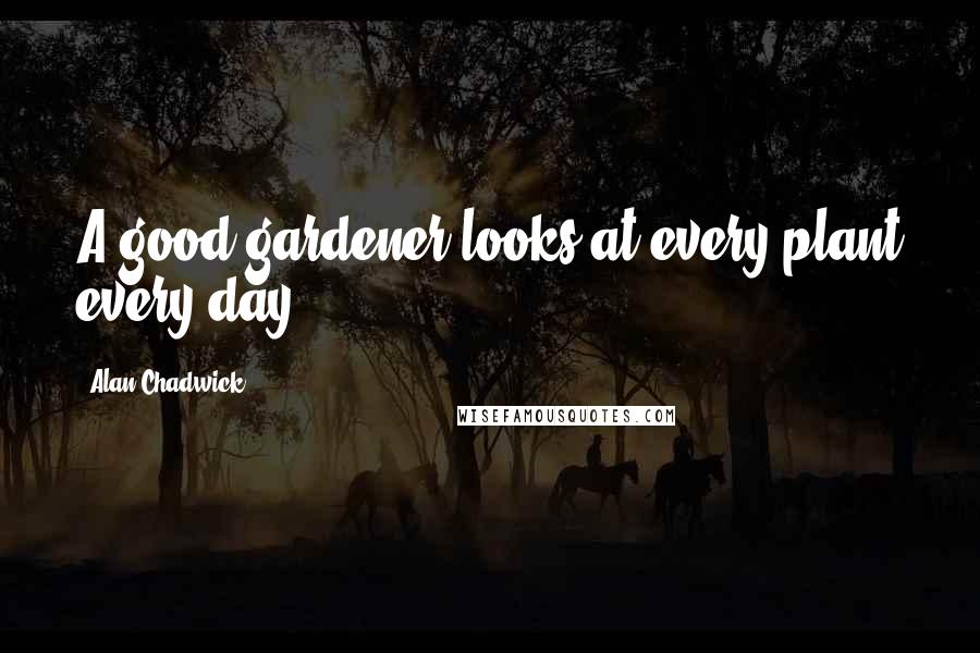 Alan Chadwick Quotes: A good gardener looks at every plant every day.