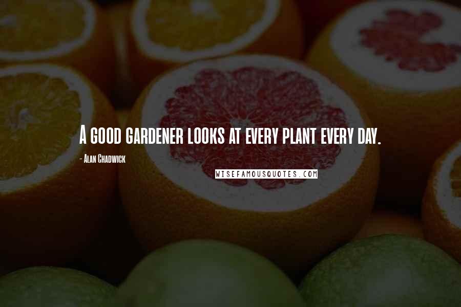 Alan Chadwick Quotes: A good gardener looks at every plant every day.