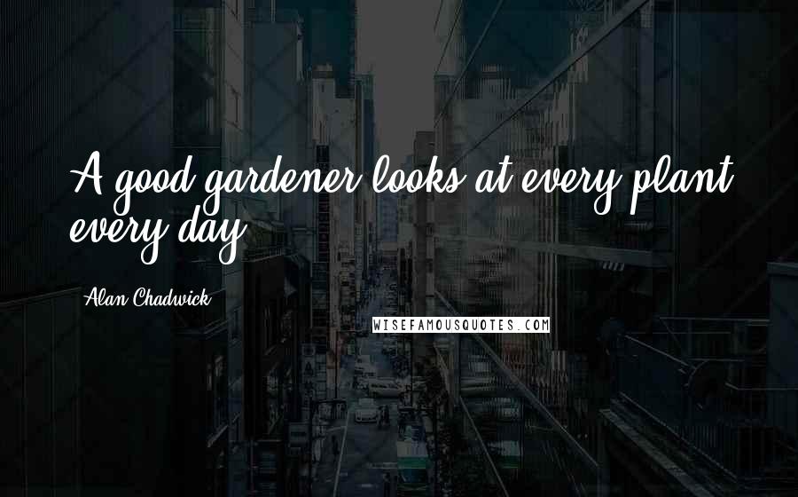 Alan Chadwick Quotes: A good gardener looks at every plant every day.