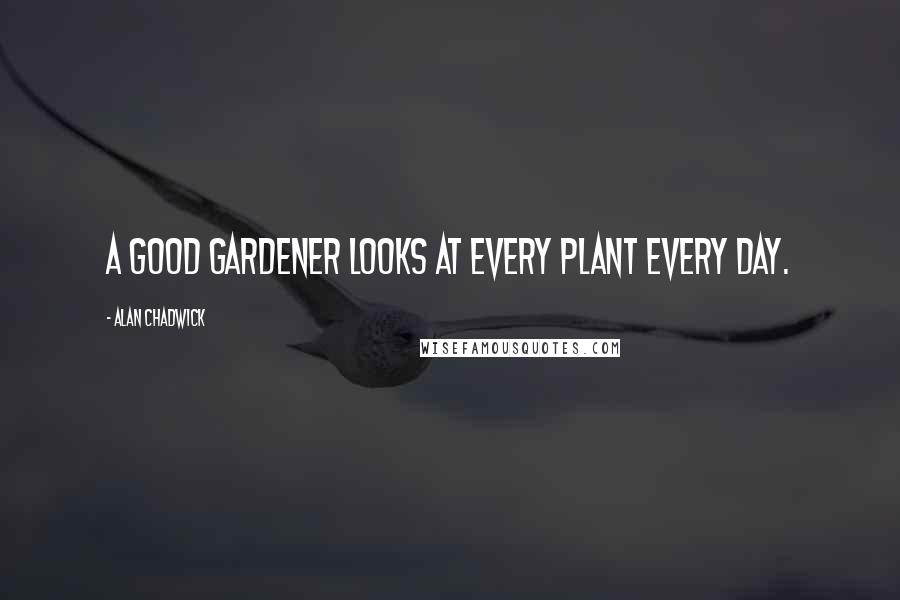 Alan Chadwick Quotes: A good gardener looks at every plant every day.