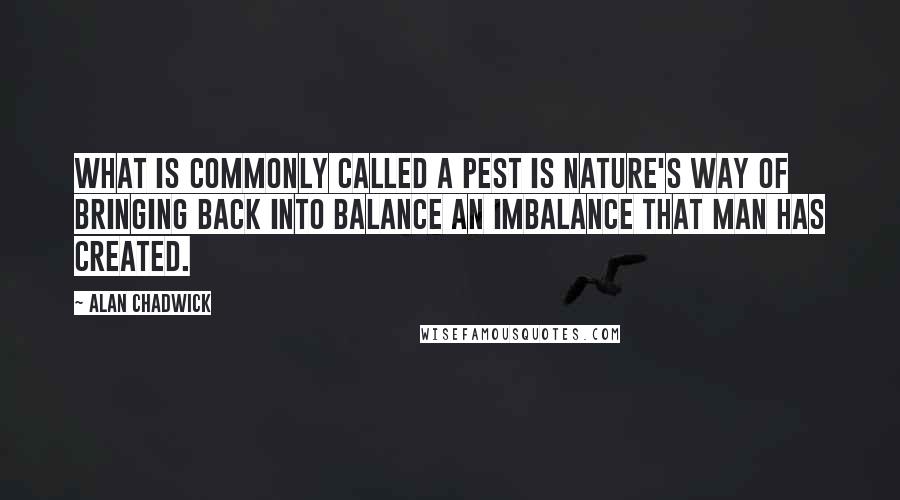 Alan Chadwick Quotes: What is commonly called a pest is nature's way of bringing back into balance an imbalance that man has created.