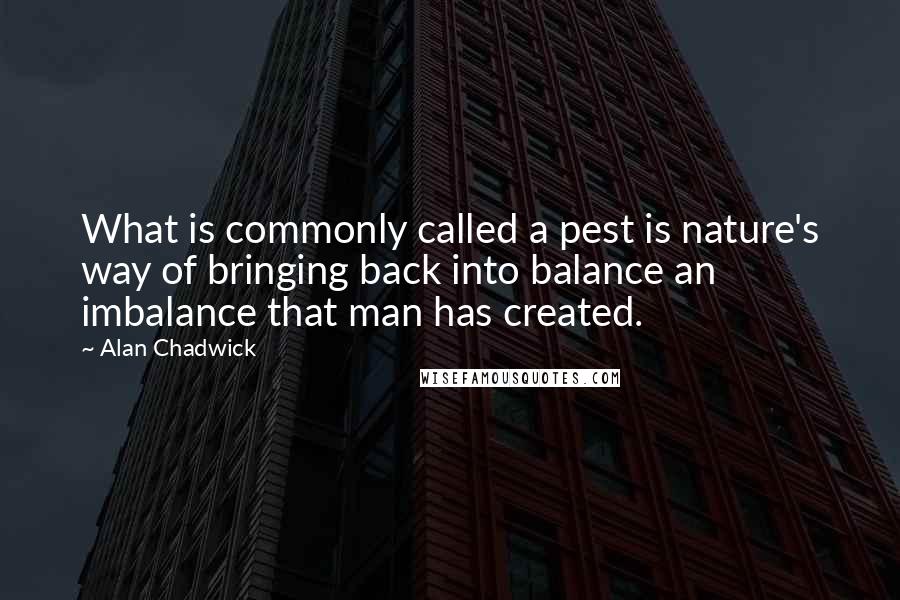 Alan Chadwick Quotes: What is commonly called a pest is nature's way of bringing back into balance an imbalance that man has created.