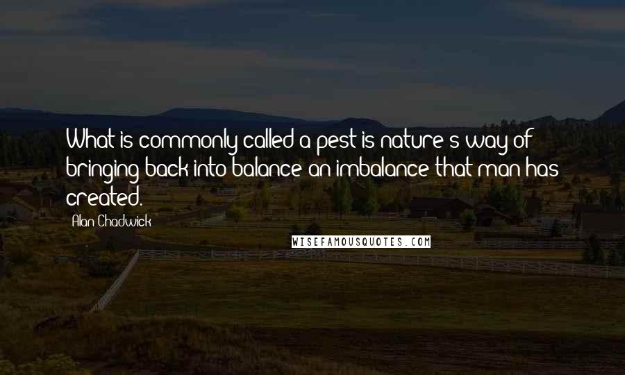 Alan Chadwick Quotes: What is commonly called a pest is nature's way of bringing back into balance an imbalance that man has created.