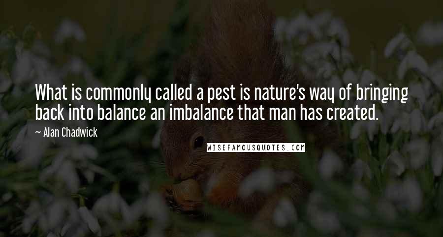 Alan Chadwick Quotes: What is commonly called a pest is nature's way of bringing back into balance an imbalance that man has created.