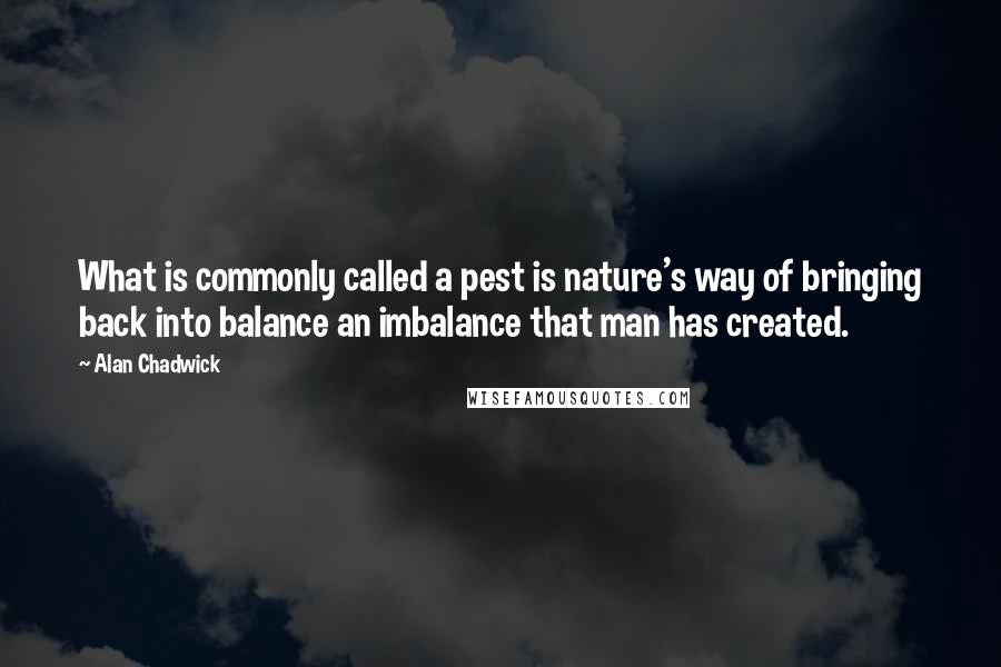 Alan Chadwick Quotes: What is commonly called a pest is nature's way of bringing back into balance an imbalance that man has created.