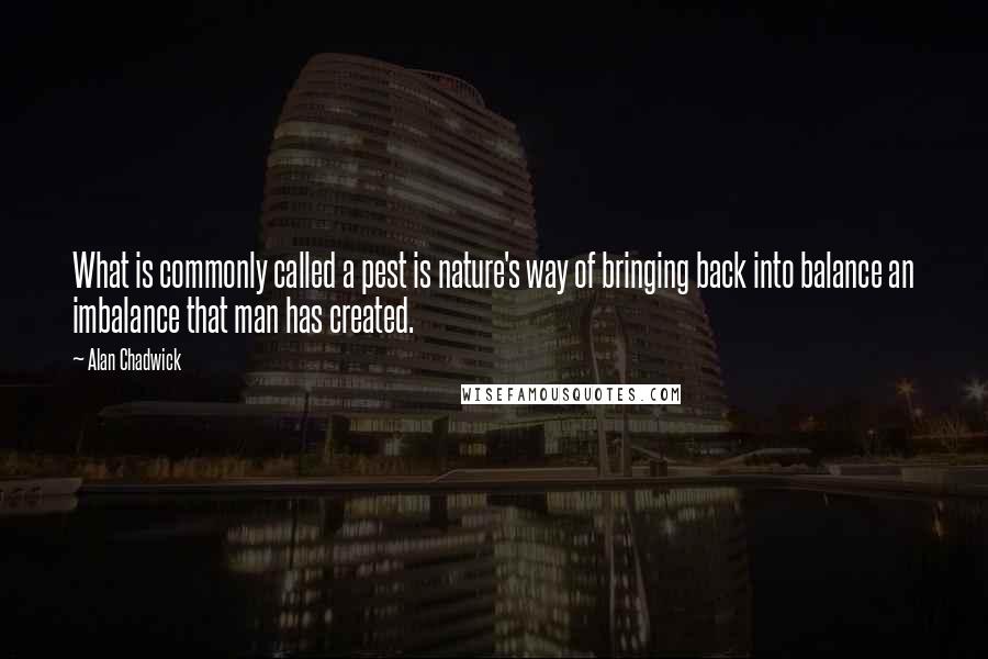 Alan Chadwick Quotes: What is commonly called a pest is nature's way of bringing back into balance an imbalance that man has created.