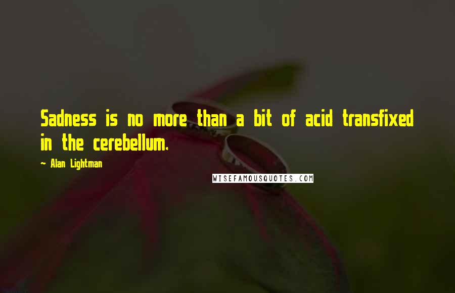 Alan Lightman Quotes: Sadness is no more than a bit of acid transfixed in the cerebellum.