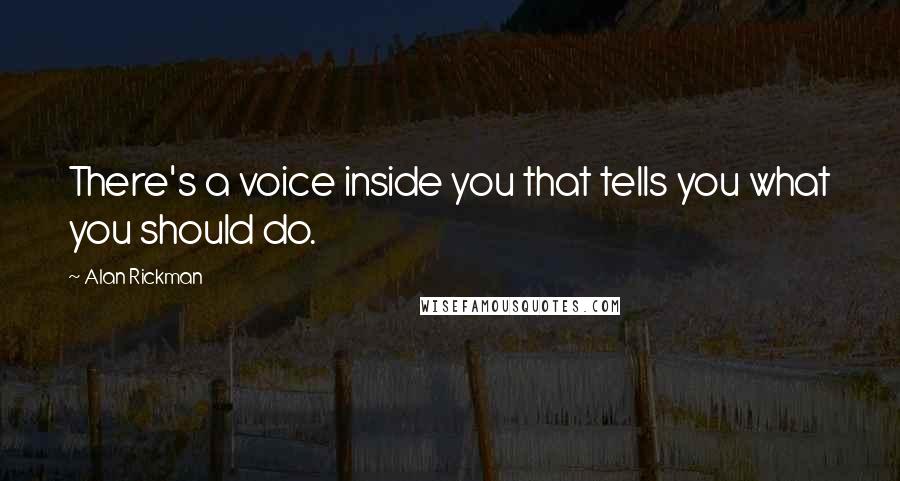 Alan Rickman Quotes: There's a voice inside you that tells you what you should do.