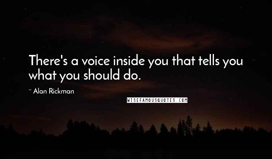 Alan Rickman Quotes: There's a voice inside you that tells you what you should do.