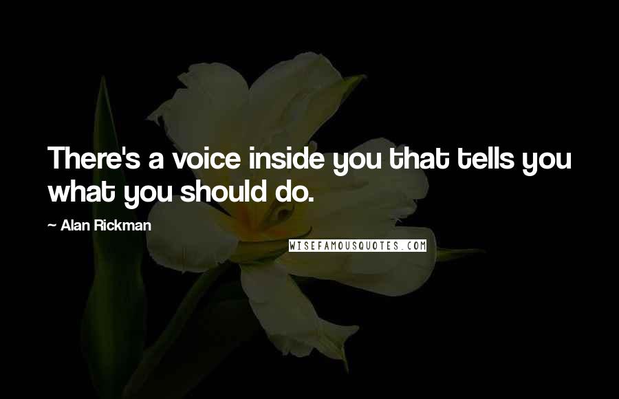 Alan Rickman Quotes: There's a voice inside you that tells you what you should do.