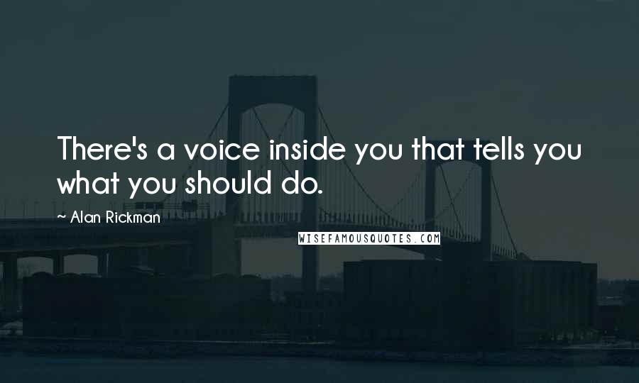 Alan Rickman Quotes: There's a voice inside you that tells you what you should do.