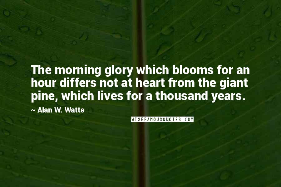 Alan W. Watts Quotes: The morning glory which blooms for an hour differs not at heart from the giant pine, which lives for a thousand years.