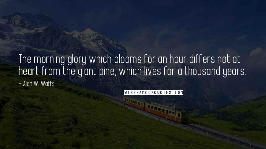 Alan W. Watts Quotes: The morning glory which blooms for an hour differs not at heart from the giant pine, which lives for a thousand years.