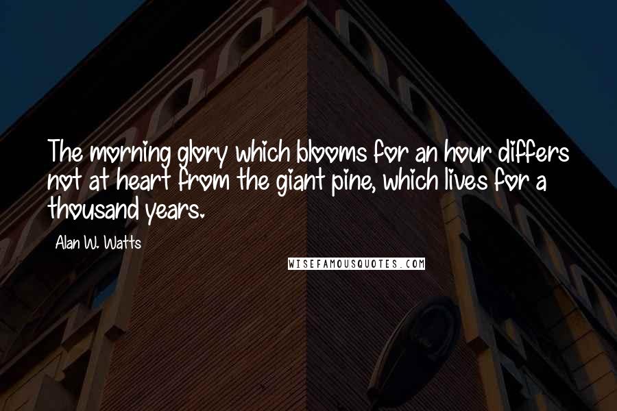 Alan W. Watts Quotes: The morning glory which blooms for an hour differs not at heart from the giant pine, which lives for a thousand years.