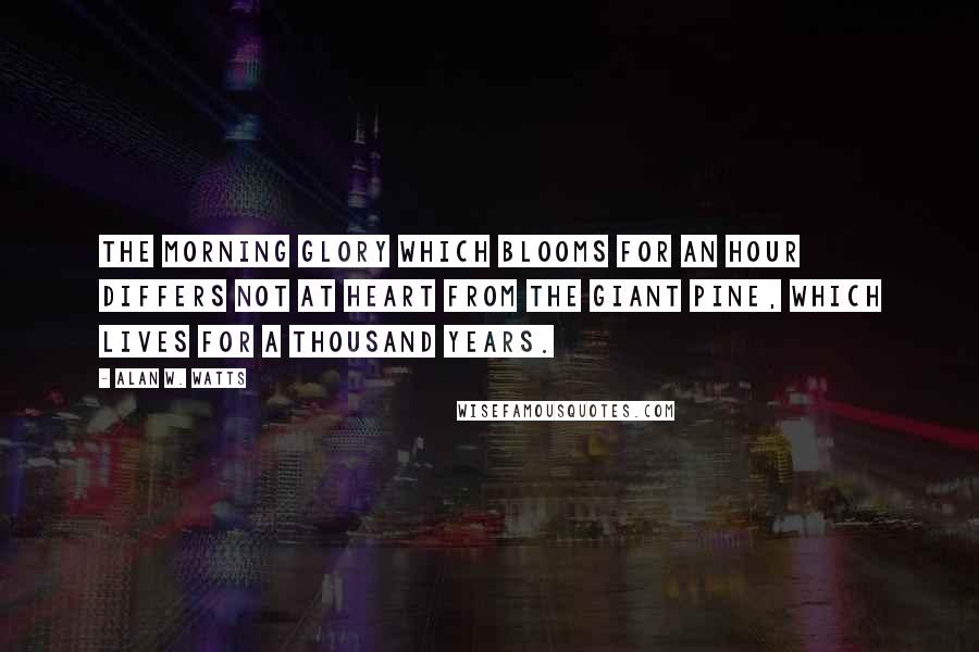 Alan W. Watts Quotes: The morning glory which blooms for an hour differs not at heart from the giant pine, which lives for a thousand years.