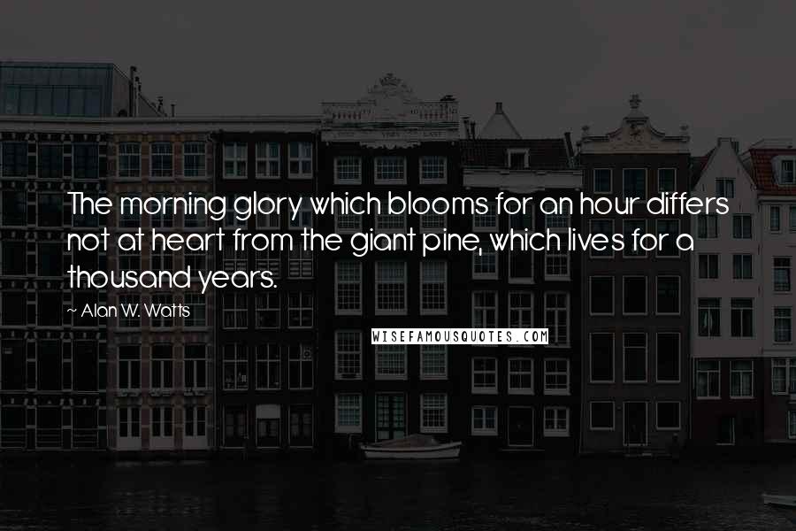 Alan W. Watts Quotes: The morning glory which blooms for an hour differs not at heart from the giant pine, which lives for a thousand years.