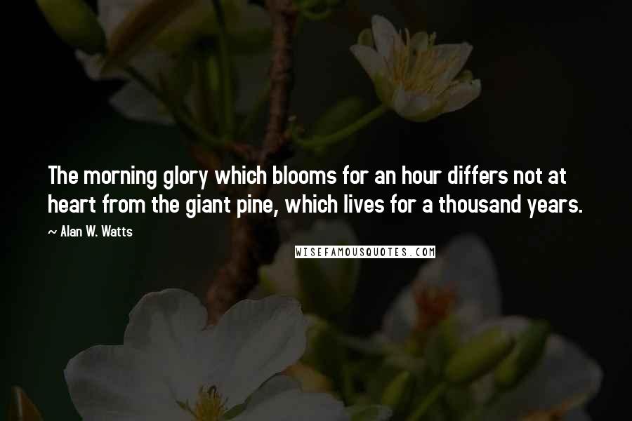 Alan W. Watts Quotes: The morning glory which blooms for an hour differs not at heart from the giant pine, which lives for a thousand years.