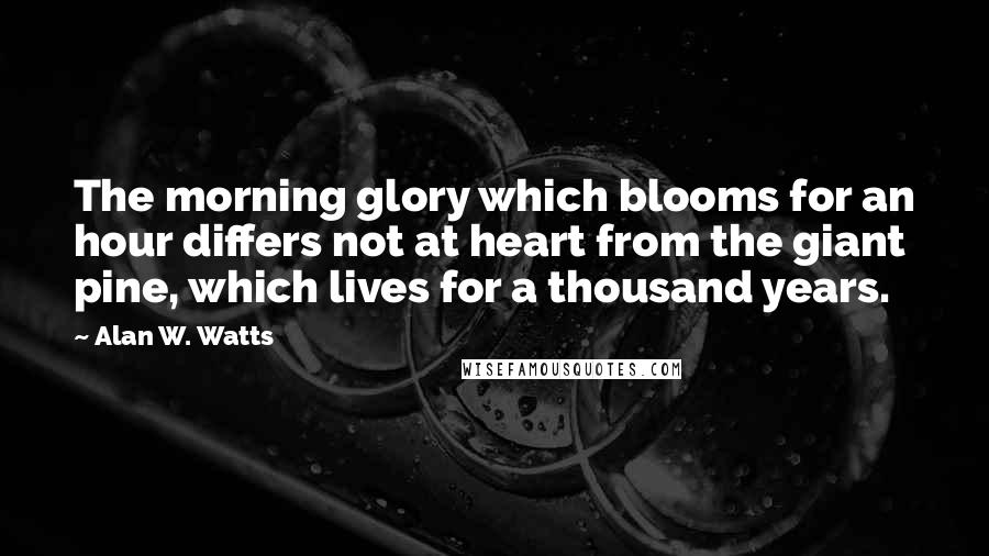 Alan W. Watts Quotes: The morning glory which blooms for an hour differs not at heart from the giant pine, which lives for a thousand years.