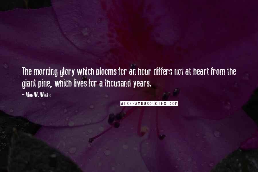 Alan W. Watts Quotes: The morning glory which blooms for an hour differs not at heart from the giant pine, which lives for a thousand years.