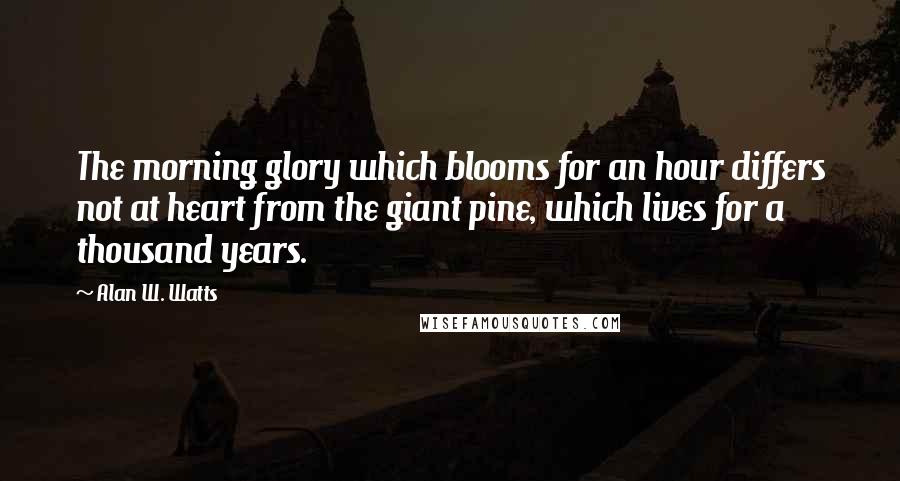 Alan W. Watts Quotes: The morning glory which blooms for an hour differs not at heart from the giant pine, which lives for a thousand years.