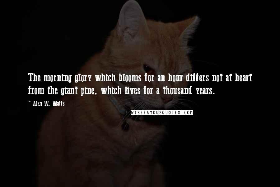 Alan W. Watts Quotes: The morning glory which blooms for an hour differs not at heart from the giant pine, which lives for a thousand years.