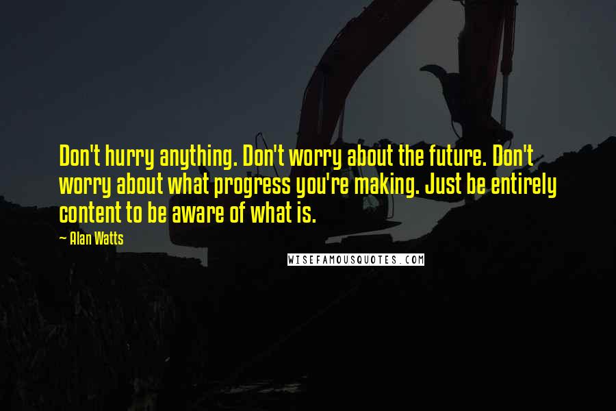 Alan Watts Quotes: Don't hurry anything. Don't worry about the future. Don't worry about what progress you're making. Just be entirely content to be aware of what is.