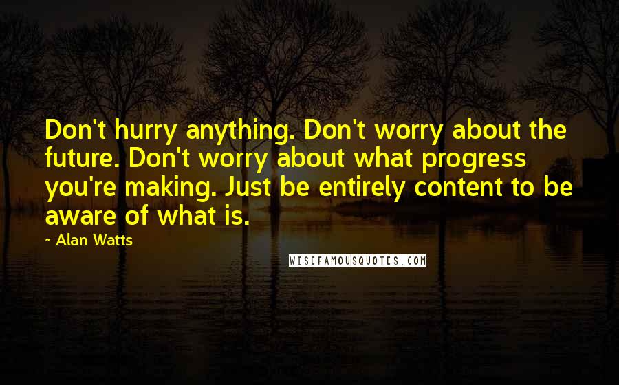 Alan Watts Quotes: Don't hurry anything. Don't worry about the future. Don't worry about what progress you're making. Just be entirely content to be aware of what is.