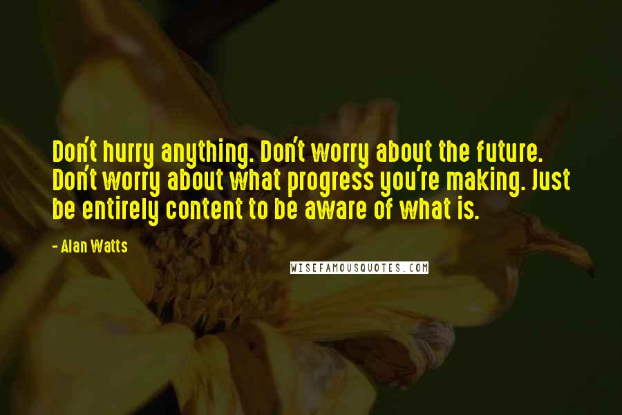 Alan Watts Quotes: Don't hurry anything. Don't worry about the future. Don't worry about what progress you're making. Just be entirely content to be aware of what is.